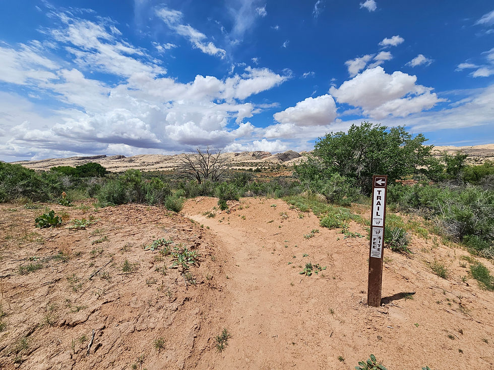 Procession Panel trail Bears Ears