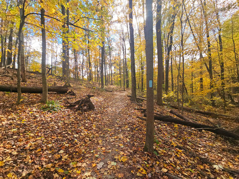 My Mountain Overlook Trail Brecksville Reservation