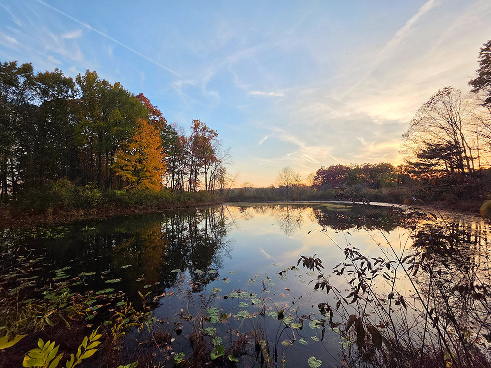 Tinkers Creek Nature Preserve Seven Ponds Trail