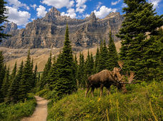 Iceberg Lake Glacier National Park
