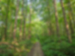 Riding Run Trail Cuyahoga Valley National Park