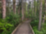 Tree Farm Trail Cuyahoga Valley National Park