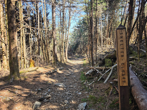 Roan High Knob Shelter