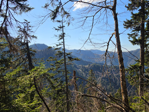 Alum Cave Trail Mount LeConte Great Smoky Mountains National Park