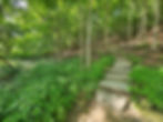 Buckeye Trail Cuyahoga Valley National Park