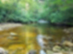 Cranberry Wilderness