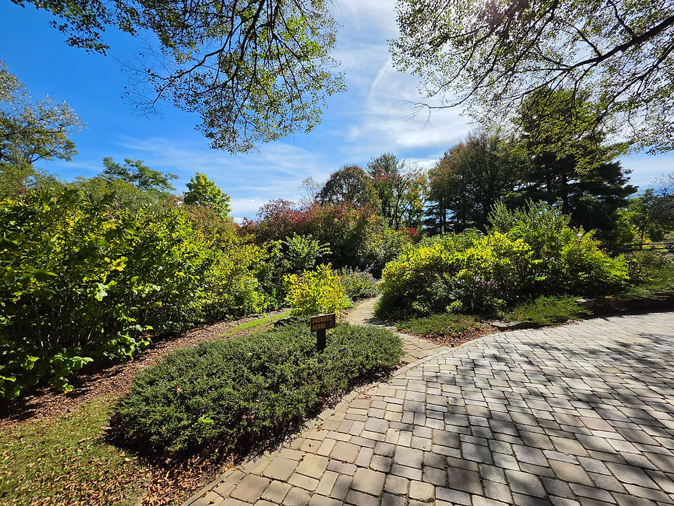 FA Seiberling Nature Realm