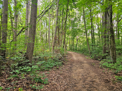 Wetmore Bridle Trail Cuyahoga Valley National Park