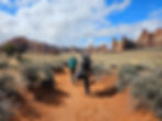 Canyonlands The Needles