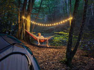 Backpack the Cranberry Wilderness North South Loop