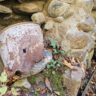 Riding Run abandoned cabin Cuyahoga Valley National Park