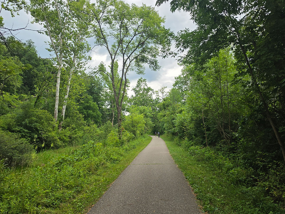Crazy Man's Hollow Falls Trail
