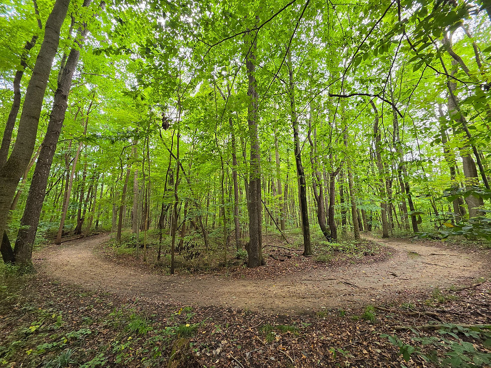 Indian Spring Trail Munroe Falls Metro Park Akron