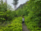 Elowah Falls Trail