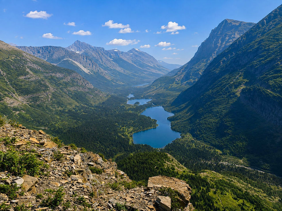 Swiftcurrent Pass Trail