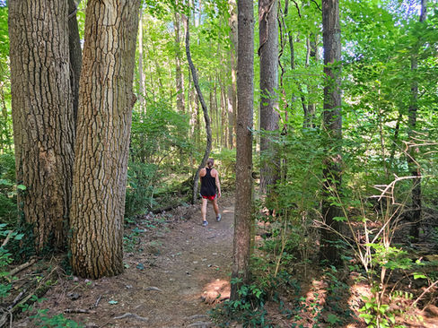 Perkins Trail Cuyahoga Valley