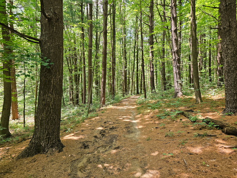 Wetmore Bridle Trail Cuyahoga Valley National Park
