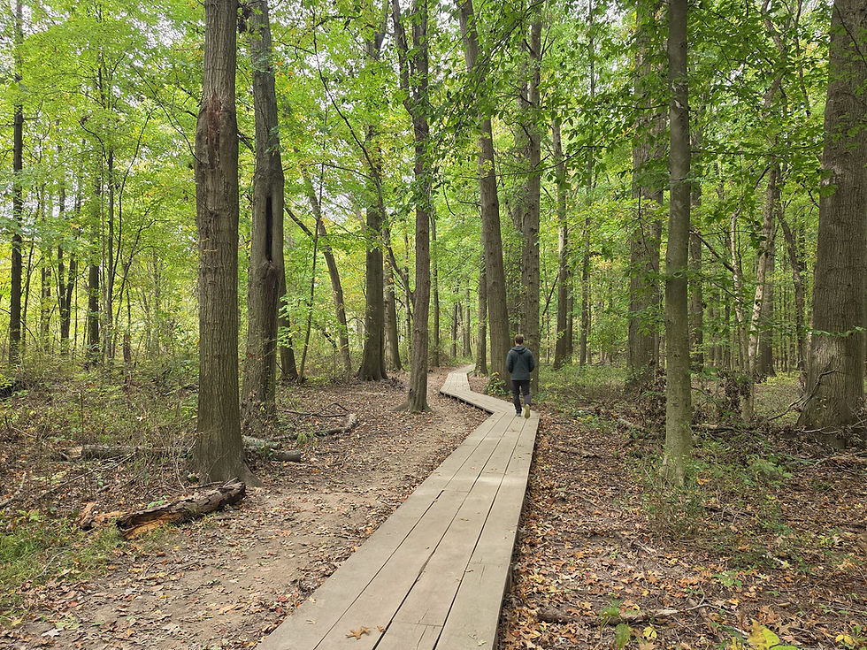 Chippewa Trail Silver Creek Metro Park