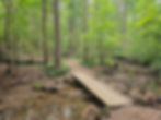 Deer Lick Cave Loop