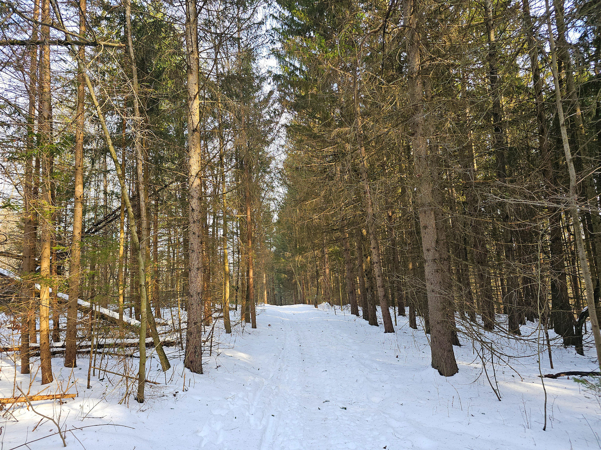 Tree Farm Trail Cuyahoga Valley National Park