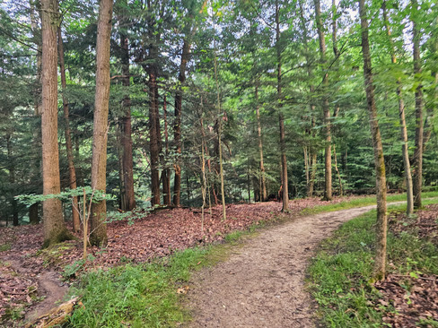 Old Carriage Trail Cuyahoga Valley National Park