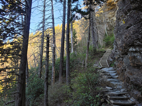 Alum Cave Trail Mount LeConte Great Smoky Mountains National Park