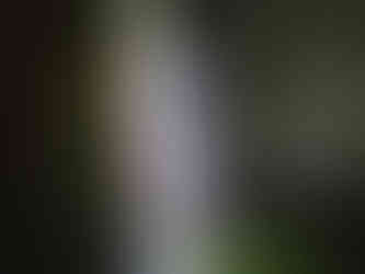 Kaymoor Miners Trail