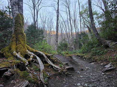 Alum Cave Trail Mount LeConte