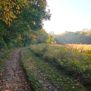 Boston Run Trail: A Peaceful Forest Escape in Cuyahoga Valley National park