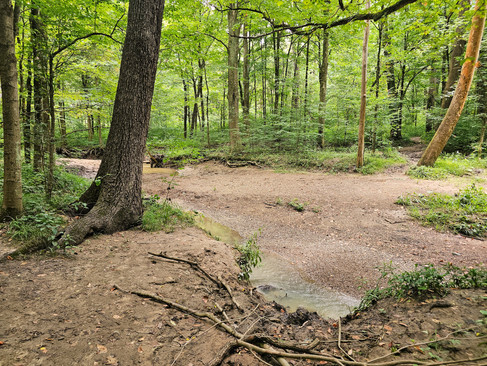 Wetmore Bridle Trail Cuyahoga Valley National Park