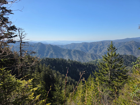Alum Cave Trail Mount LeConte Great Smoky Mountains National Park