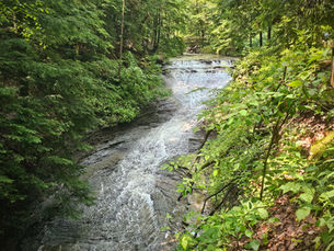 10 Trails That Show Off Northeast Ohio's Natural Beauty