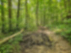 Wetmore Bridle Trail Cuyahoga Valley National Park