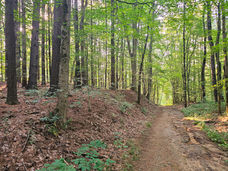 The Quiet Side of Cuyahoga Valley: Hiking the Riding Run Trail