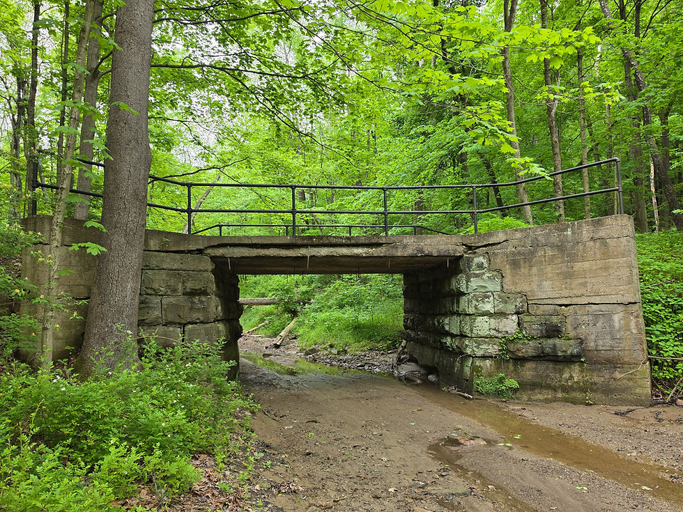 Adam Run Loop Hampton Hills Metro Park