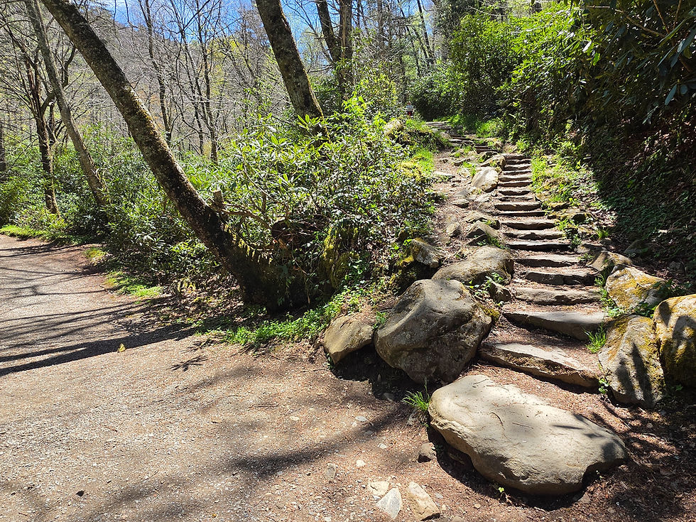 Chimney Tops Trail Great Smoky Mountains National Park