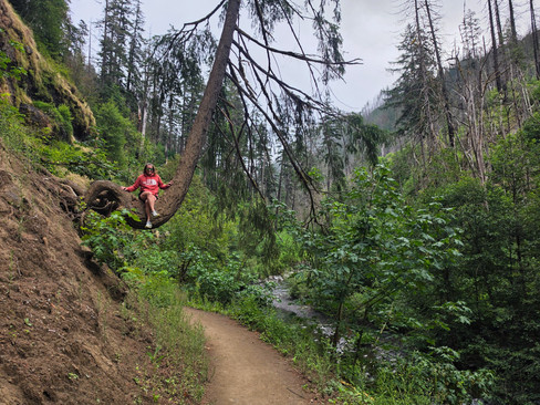 Eagle Creek Trail Columbia River Gorge