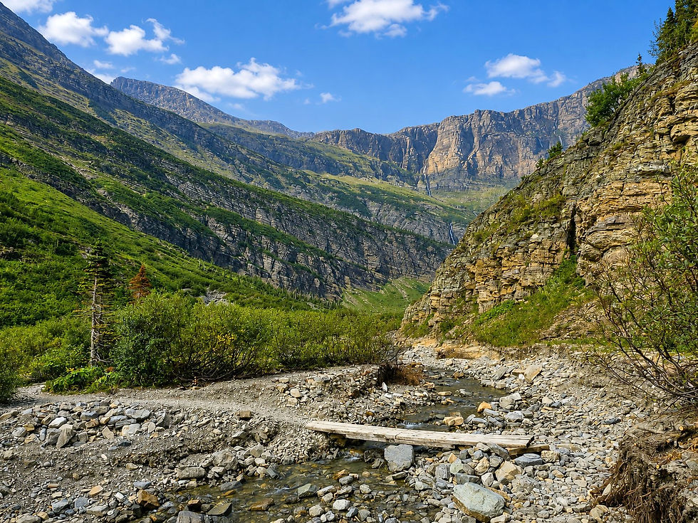 Swiftcurrent Pass Trail