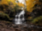 Ricketts Glen Falls Loop