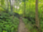 Salt Run Trail Cuyahoga Valley National Park
