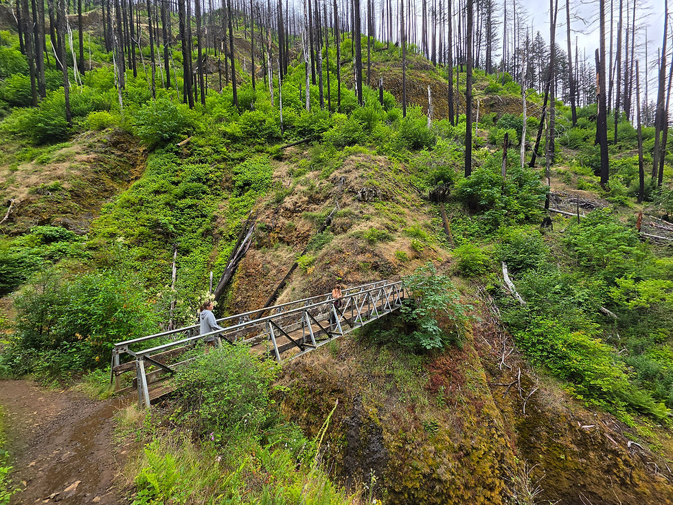 Triple Falls Trail Columbia River Gorge
