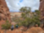 Canyonlands The Needles