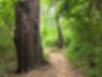Adam Run Loop Hampton Hills Metro Park