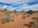 Spooky Slot Canyon Trail