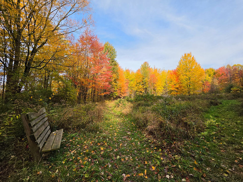 Kerven Trail Mentor Marsh