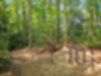 Long Point Trail New River Gorge