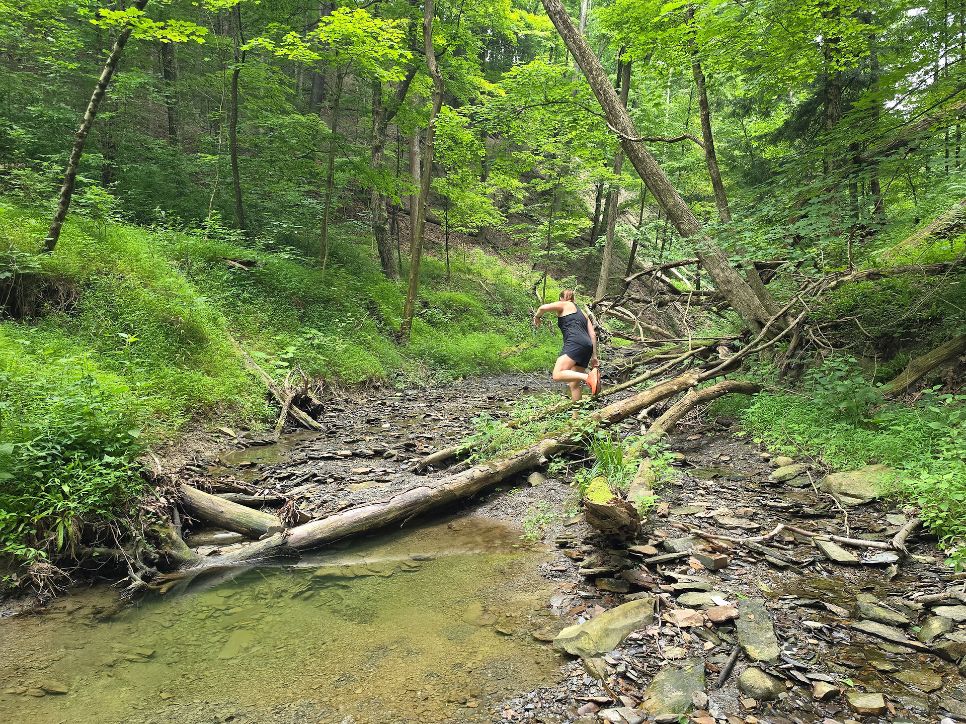 Crazy Man's Hollow Falls Trail
