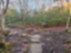 Grandfather Mountain hiking trail