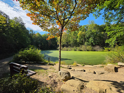Fernwood Trail FA Seiberling