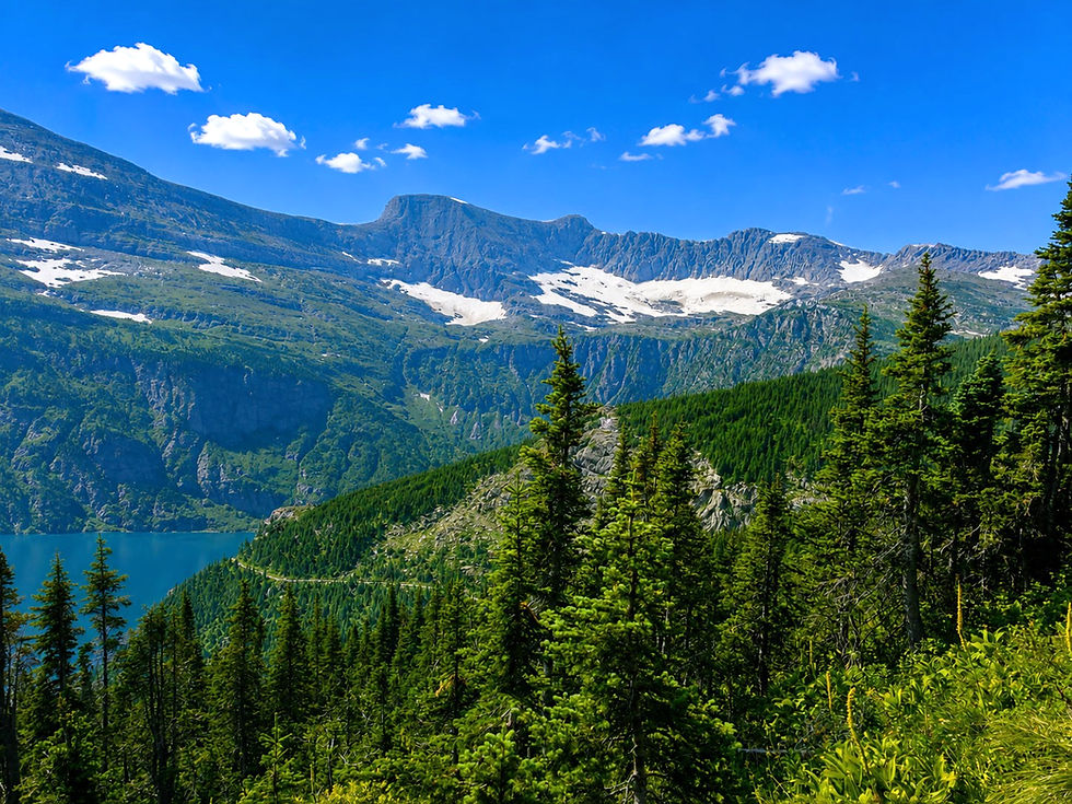 Swiftcurrent Pass Trail